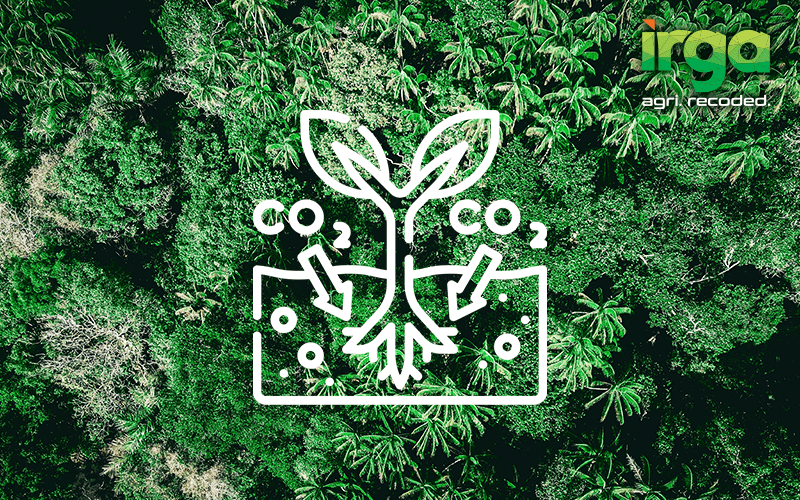 Reducing the Carbon Footprint of Oil Palm