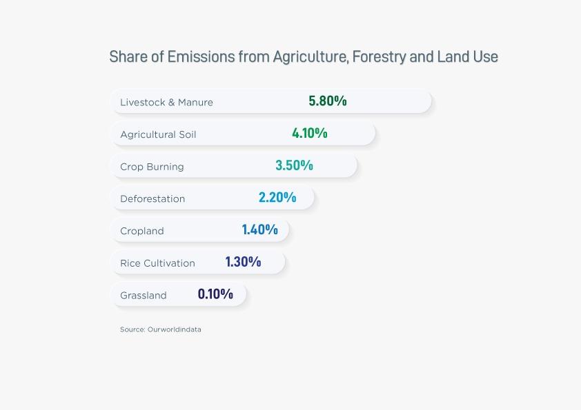 WhatsApp Image 2022-12-02 at 4.57.12 PM (1)