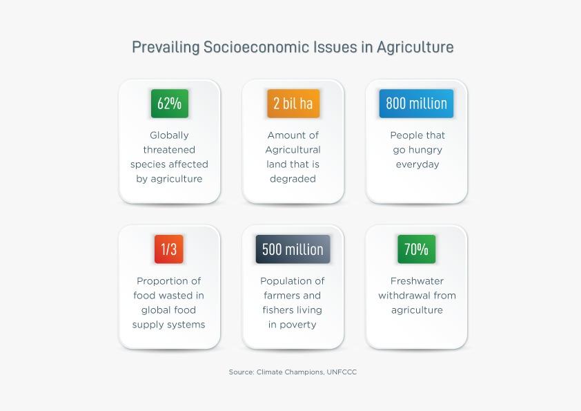 WhatsApp Image 2022-12-05 at 4.57.10 PM