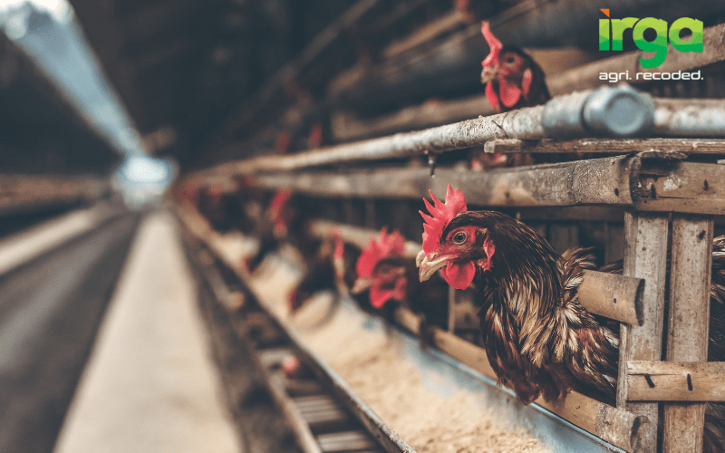 Untitled design (11)