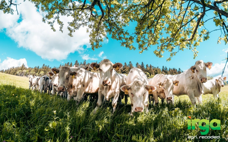 Untitled design (16)