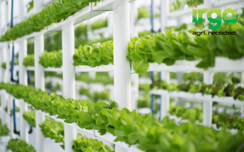 Untitled design (25)