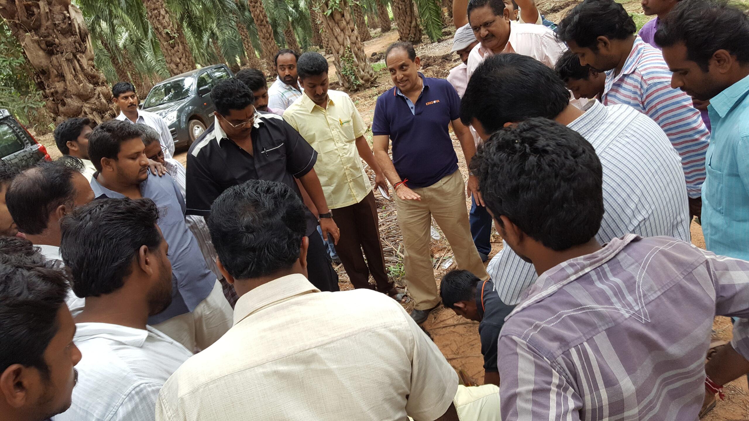 KINGOYA Enterprise – A Story of Innovation, Partnership and a Passion for Plantations