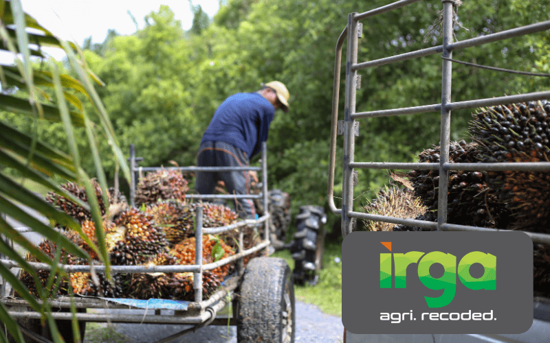 Untitled design – 2024-01-25T132237.958