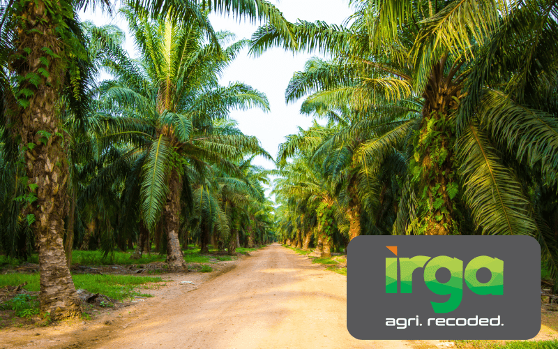 Untitled design – 2024-01-25T133454.349