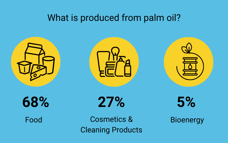 Cultivation of Palm Oil Industry Challenges, Solutions and Compromises